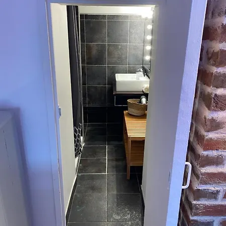 Le Ti Wi En Plein Coeur Du Vieux Bassin Lejlighed